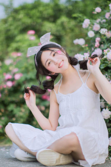 麒麟桔子树